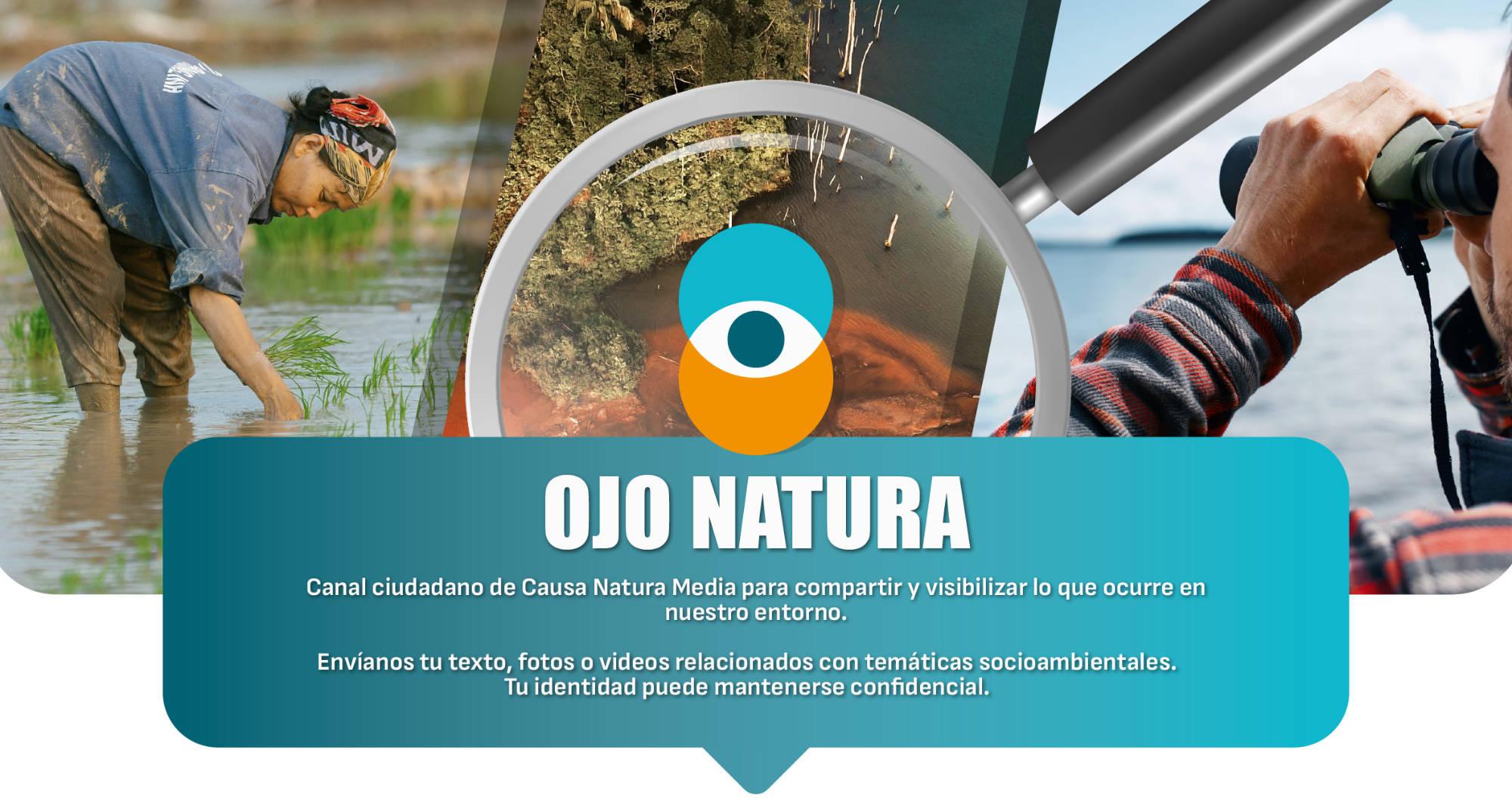 OJO NATURA