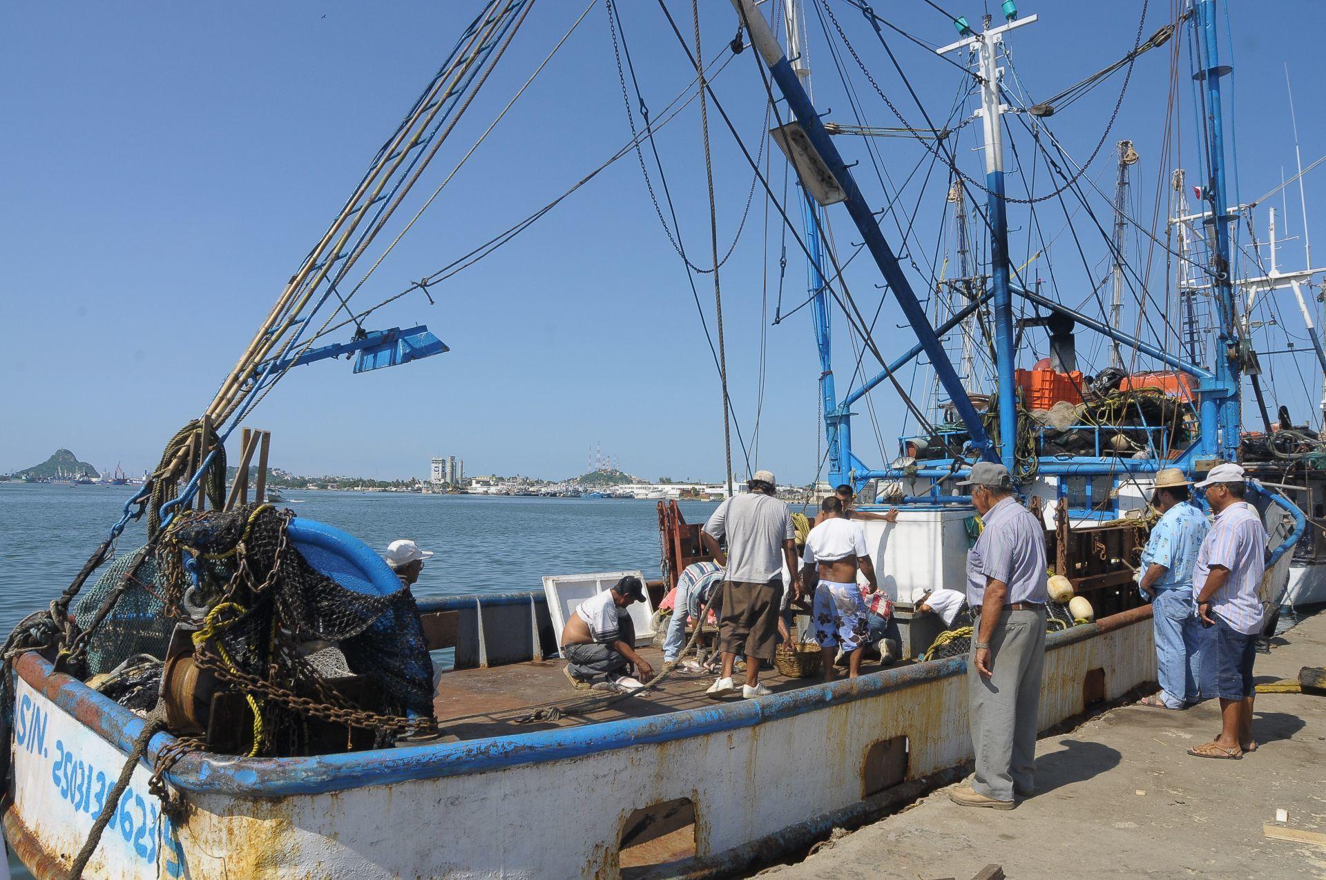 Shrimp boat in Mazatlán unloads capture taken after 4 days at sea. Photo: Víctor Hugo Olivas/Cuartoscuro