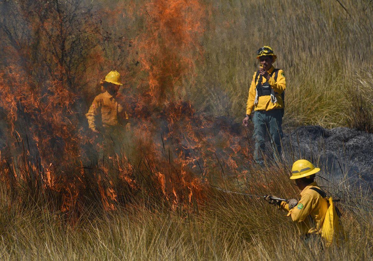Firefighters controlling fires. Photo: Crisanta Espinosa Aguilar/Cuartoscuro.com