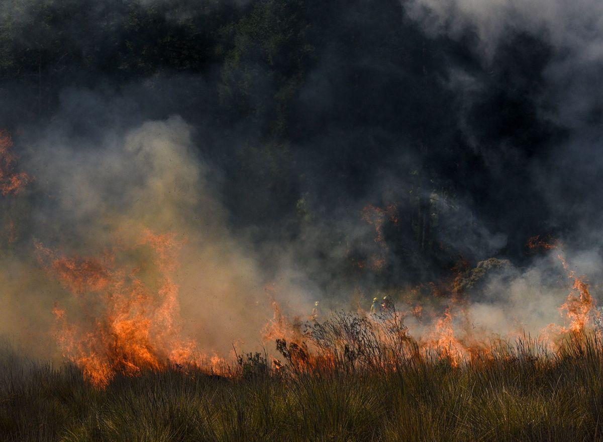 Controlled burning. Photo: Crisanta Espinosa Aguilar/Cuartoscuro.com