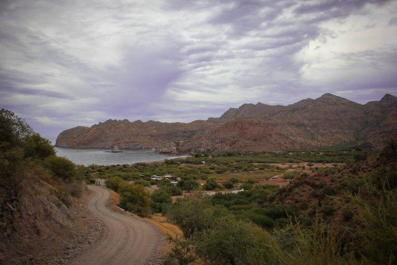 Green Water, BCS.jpeg