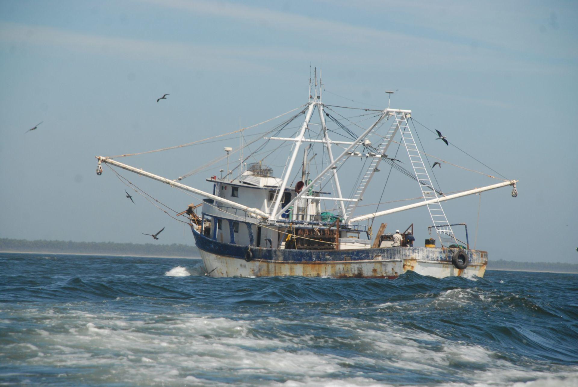 Shrimp boats are not allowed to be in the bays, with few exceptions. In the image a ship in Mazatlán. Photo: Víctor Hugo Olivas/Cuartoscuro