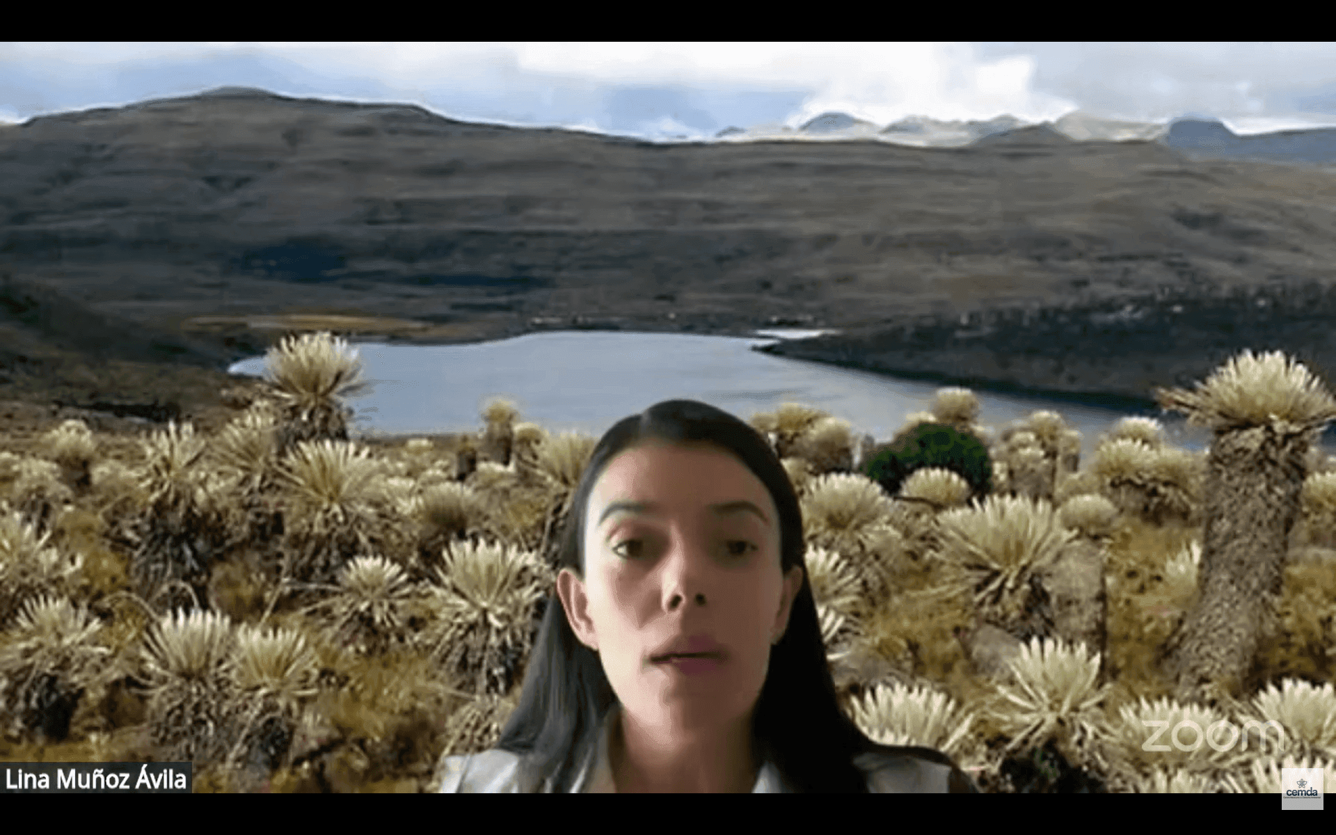 Captura de pantalla 2026-10-01 160049.png