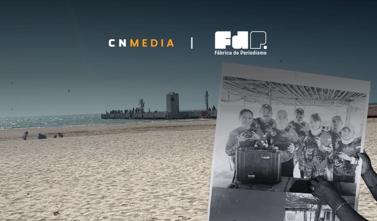 Celestún, el pepino de mar y la resistencia social ante el crimen organizado