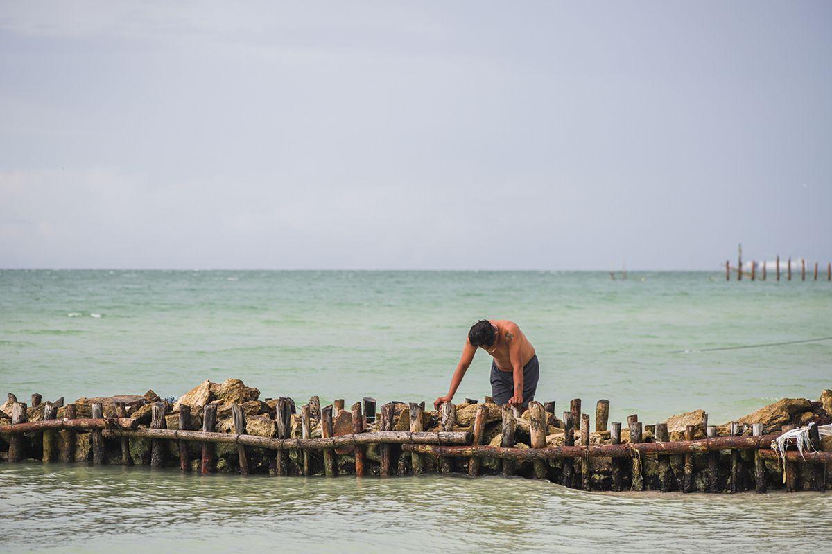 Spurs are often seen as a solution to coastal erosion, but they actually do more harm. Photo by Lilia Balam.