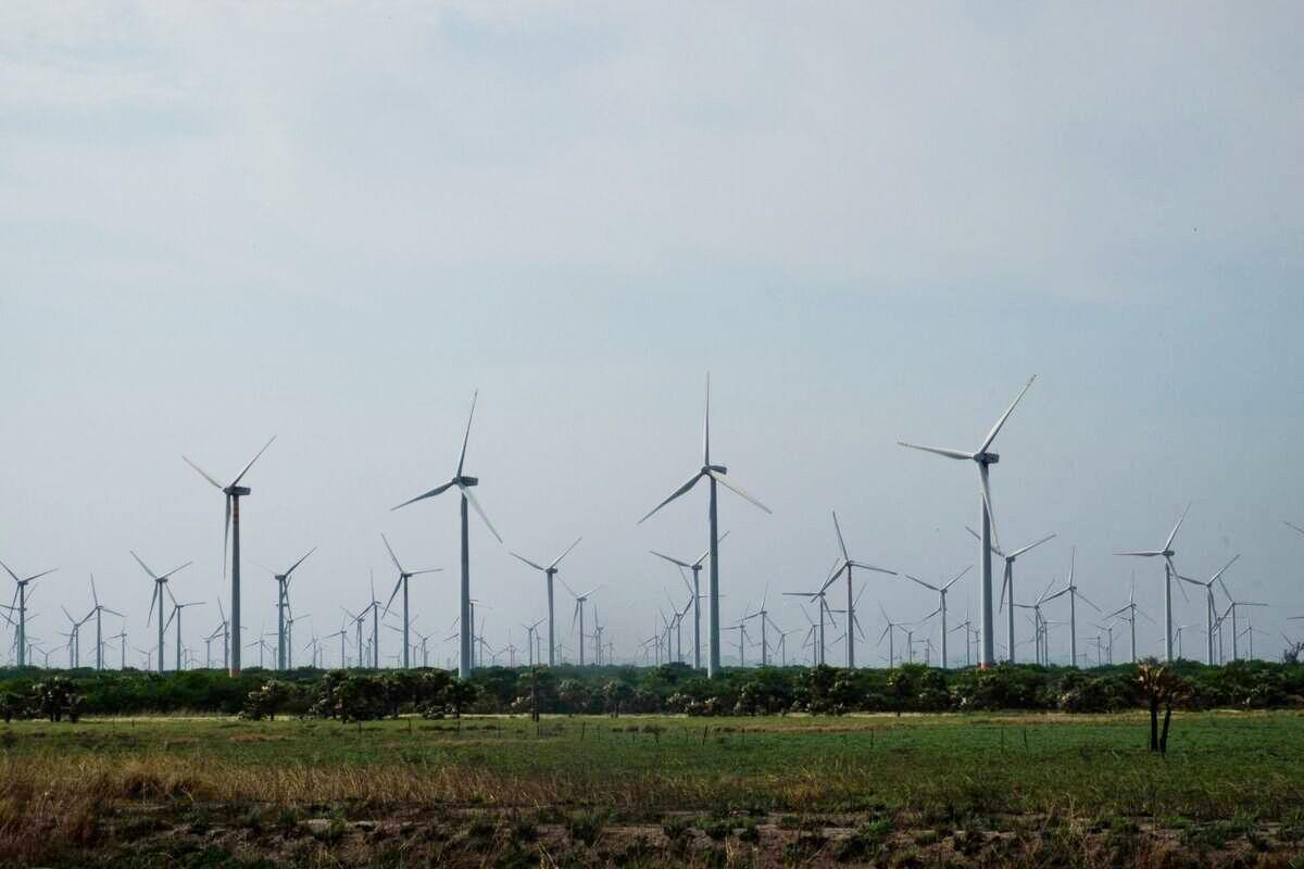 Actualmente existen 28 permisos para parques eólicos. Foto: Isabel Mateos Hinojosa / Cuartoscuro.com