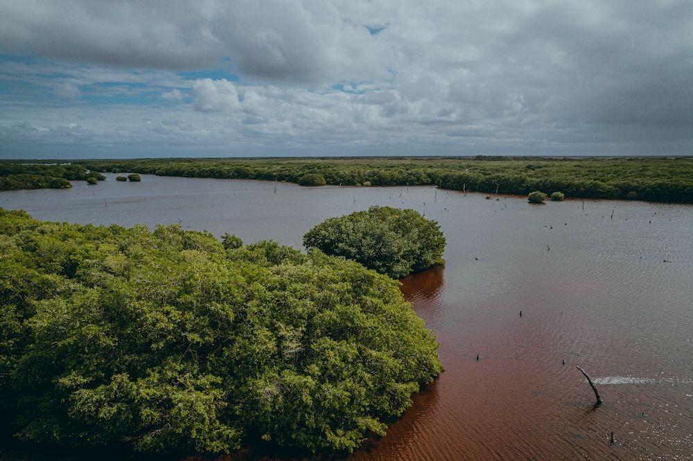 DJI_0402.jpg