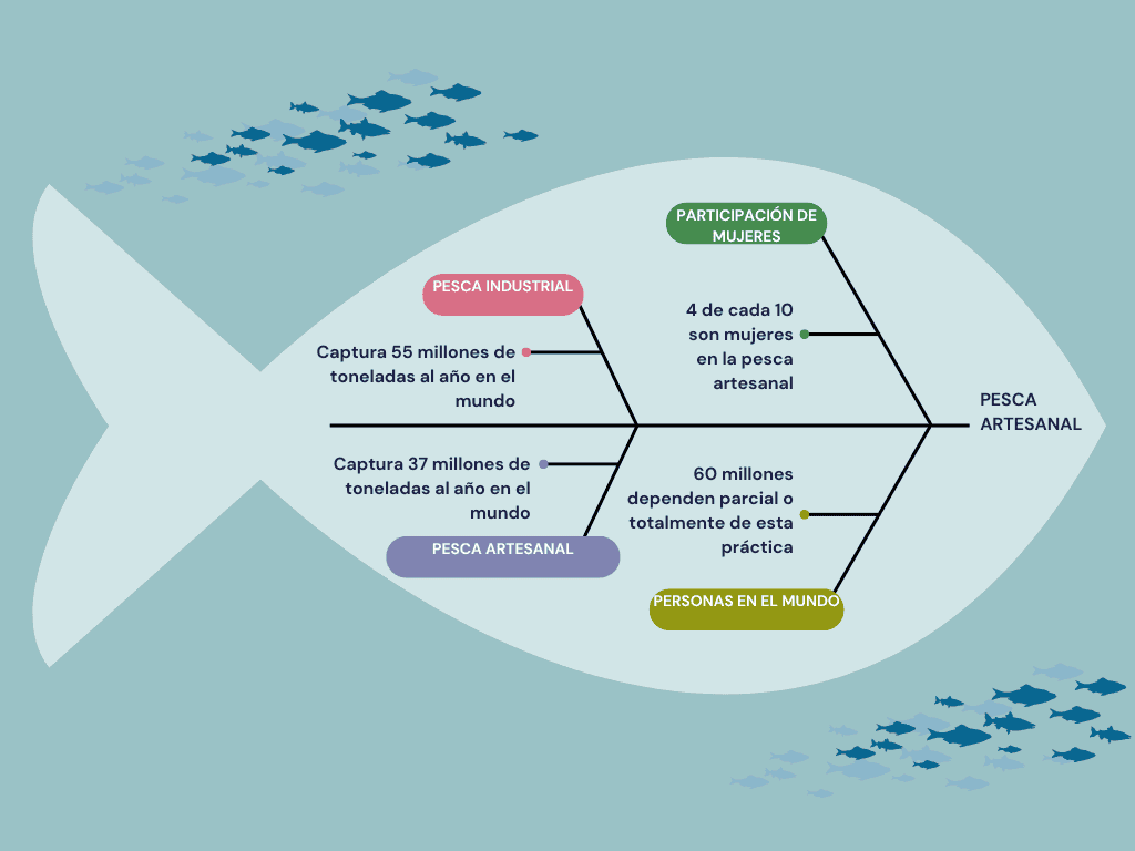 Diagrama pez.png