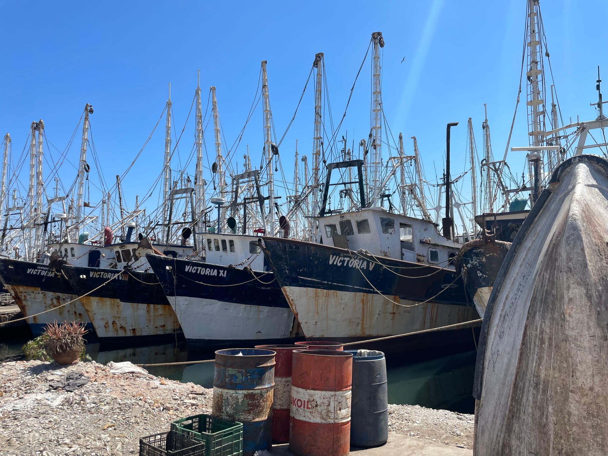 Camarón.jpg boats
