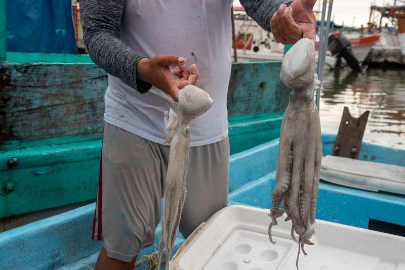 Experiments controlaados.jpg