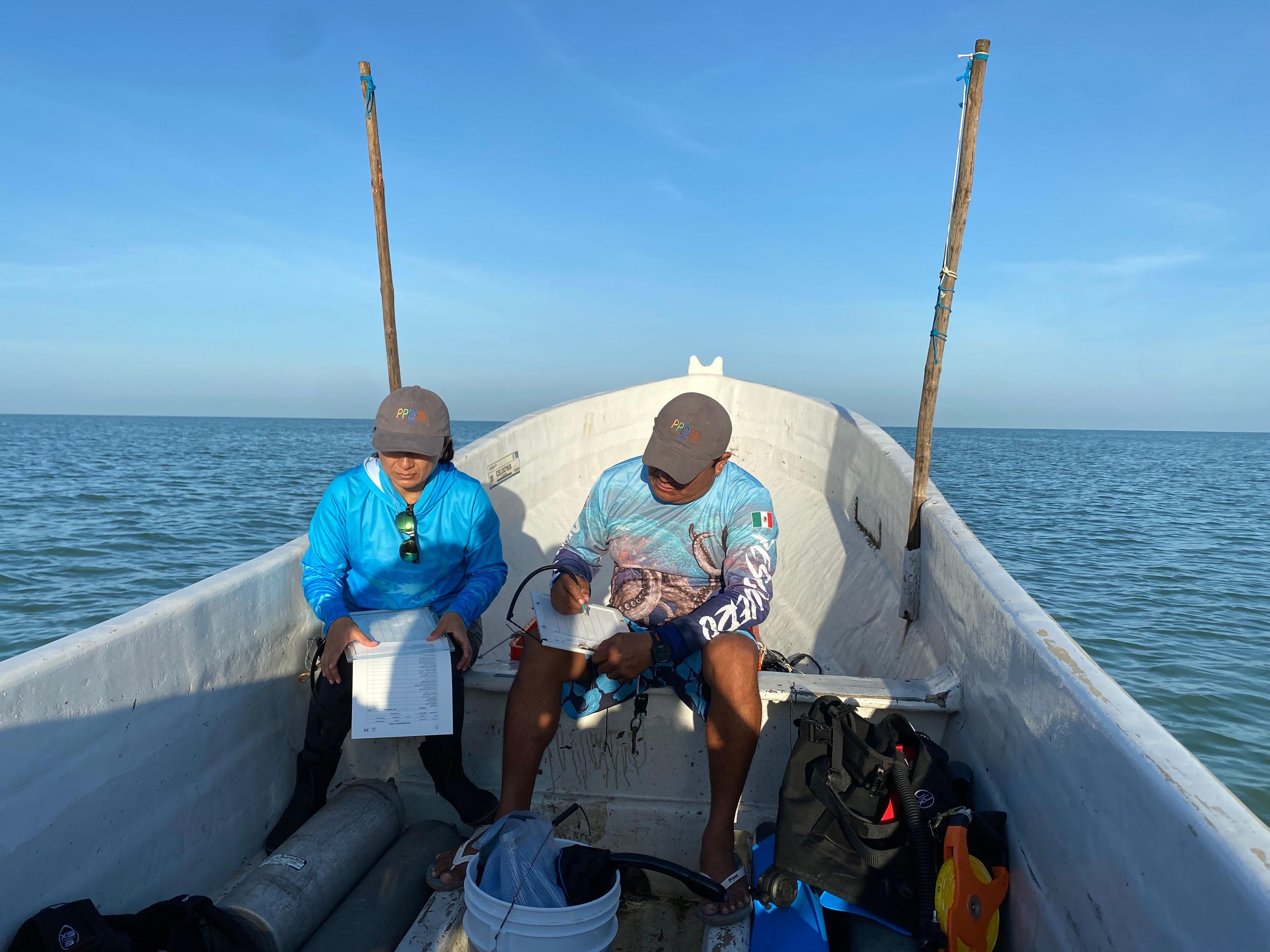 The sea in organized hands: cooperatives in Mexico work for sustainable fishing