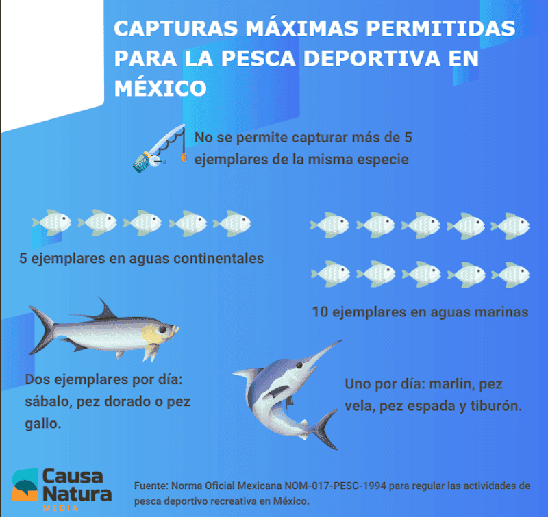 Infografía Pesca deportiva.png