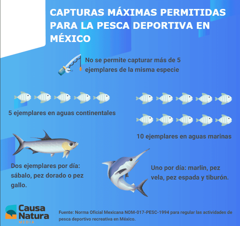 Fishing Infographic deportiva.png