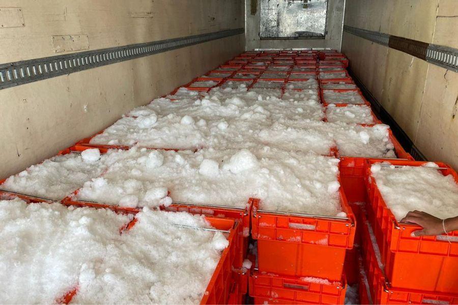 Interiors 900x600-2.jpg