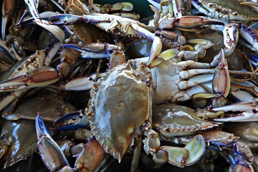 Interiors 900x600-3.jpg