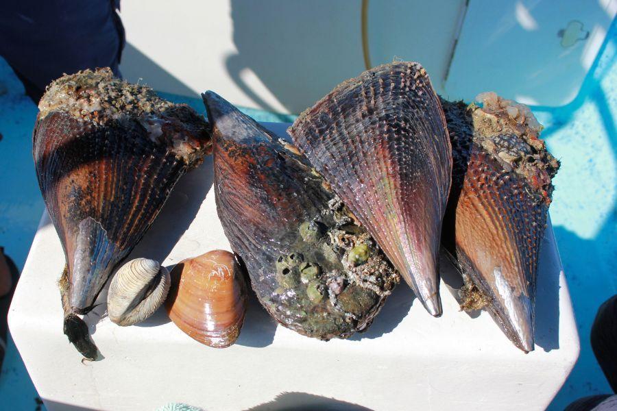 Interiores 900x600.jpg