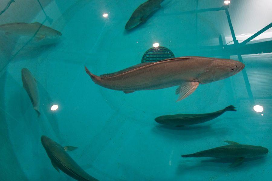 Interiors 900x600-4.jpg