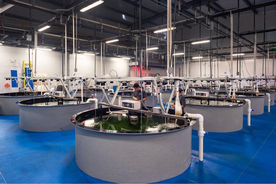 Interiors 900x600-5.jpg