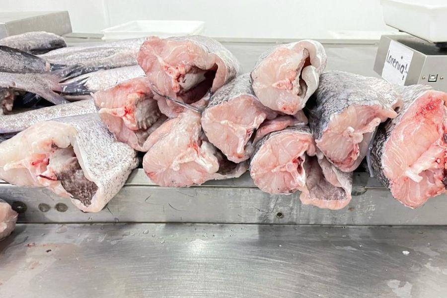 Interiors 900x600.jpg