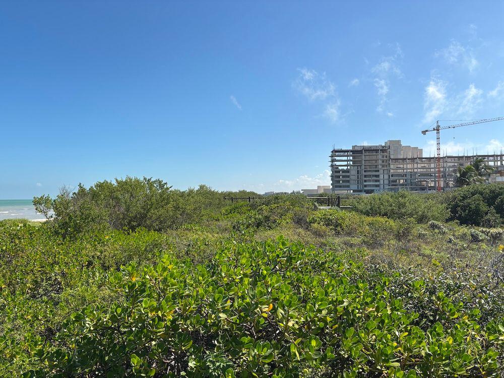 Itzel Chan 2 (1) .JPG