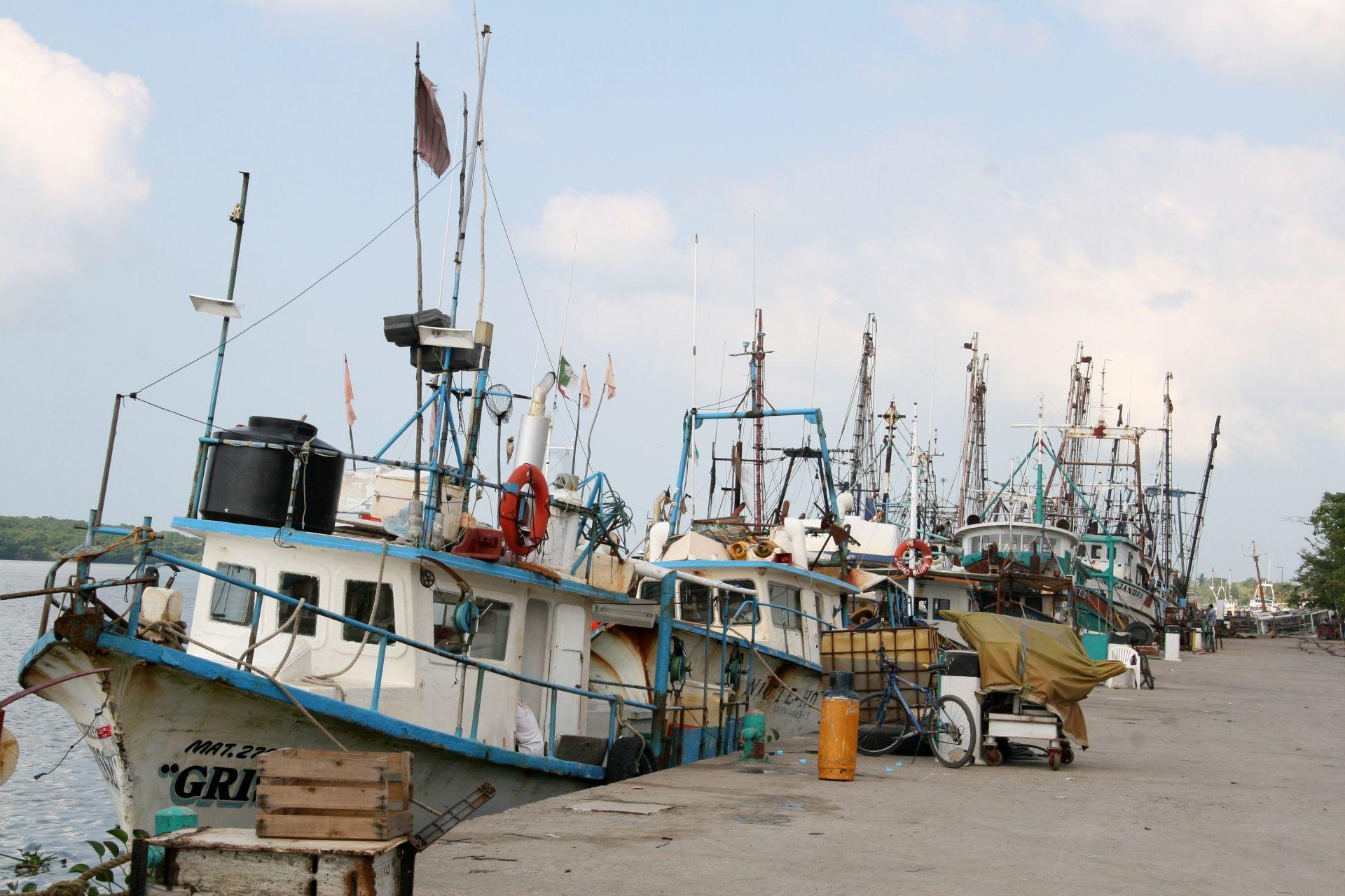 Shrimp boats from Centla, Tabasco. Photo: Marco Polo Guzman/ Cuartoscuro