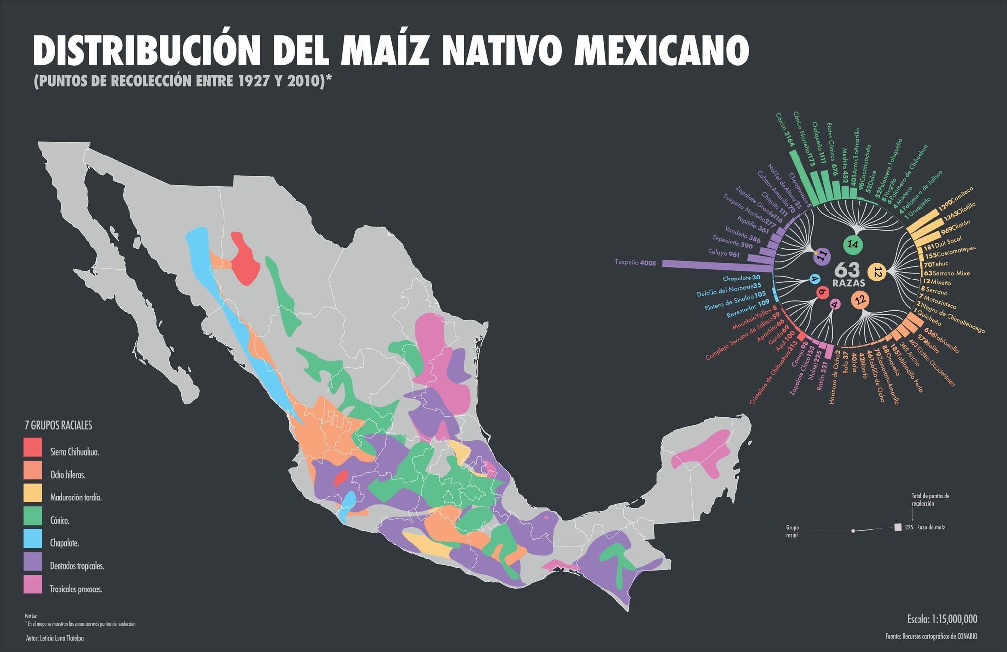 Mexico COP16 on Biodiversity 3.jpg