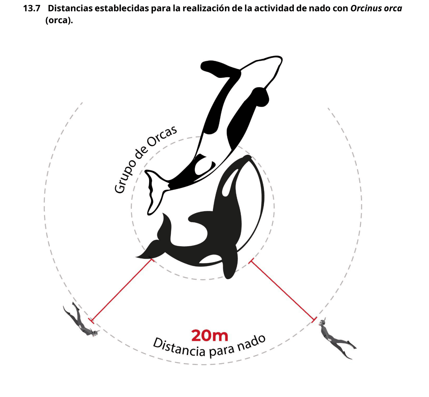 Nado orcas.png
