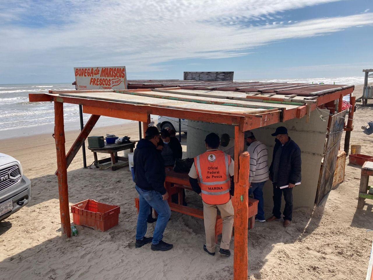 Fishing officers and members of the navy carry out an inspection at Baghdad Beach. Photo: Conapesca.