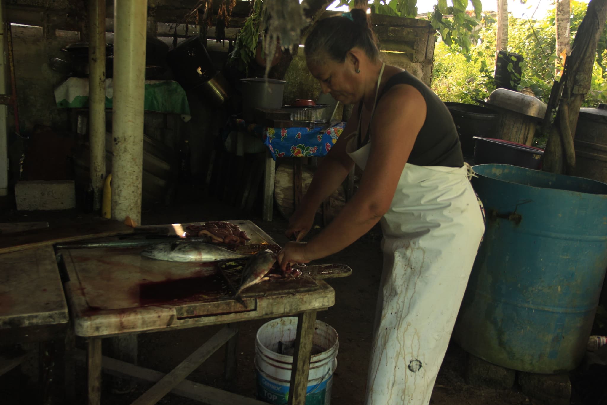 Pescadoras-LasBarrancas-SCJN-1.jpg