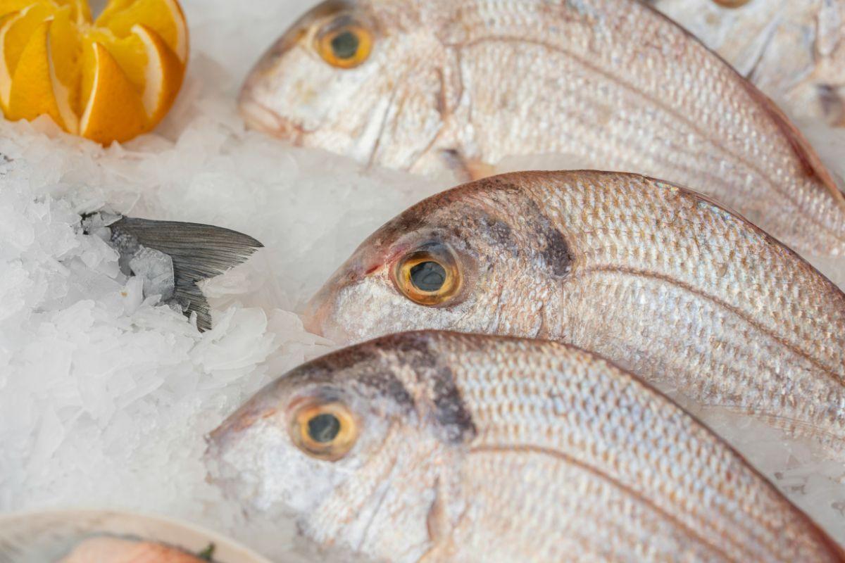 Challenges for supermarkets to source sustainable and local fish