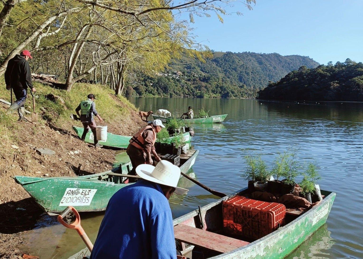 Necaxa Dam: where fishermen plant trees and clean water to reduce pollution