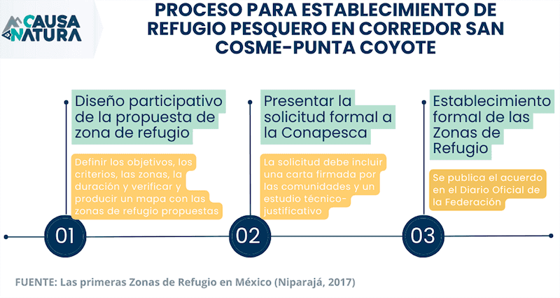 Proceso-ZRP-1.png