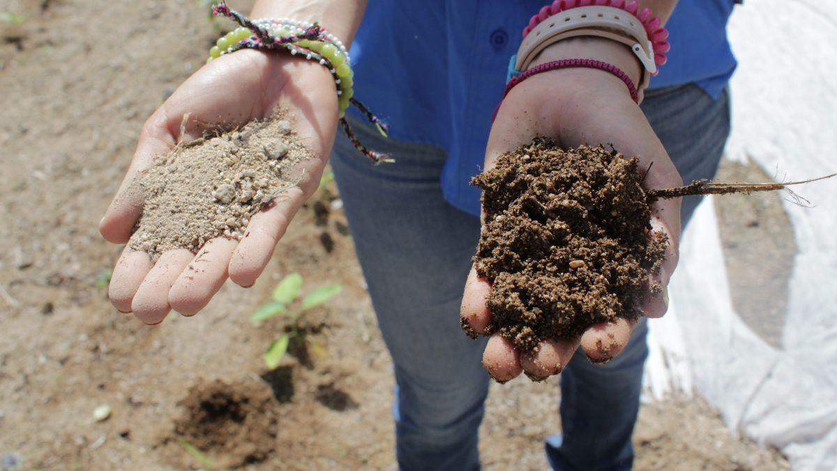 Rancho Cacachilas bcs (1) .jpg