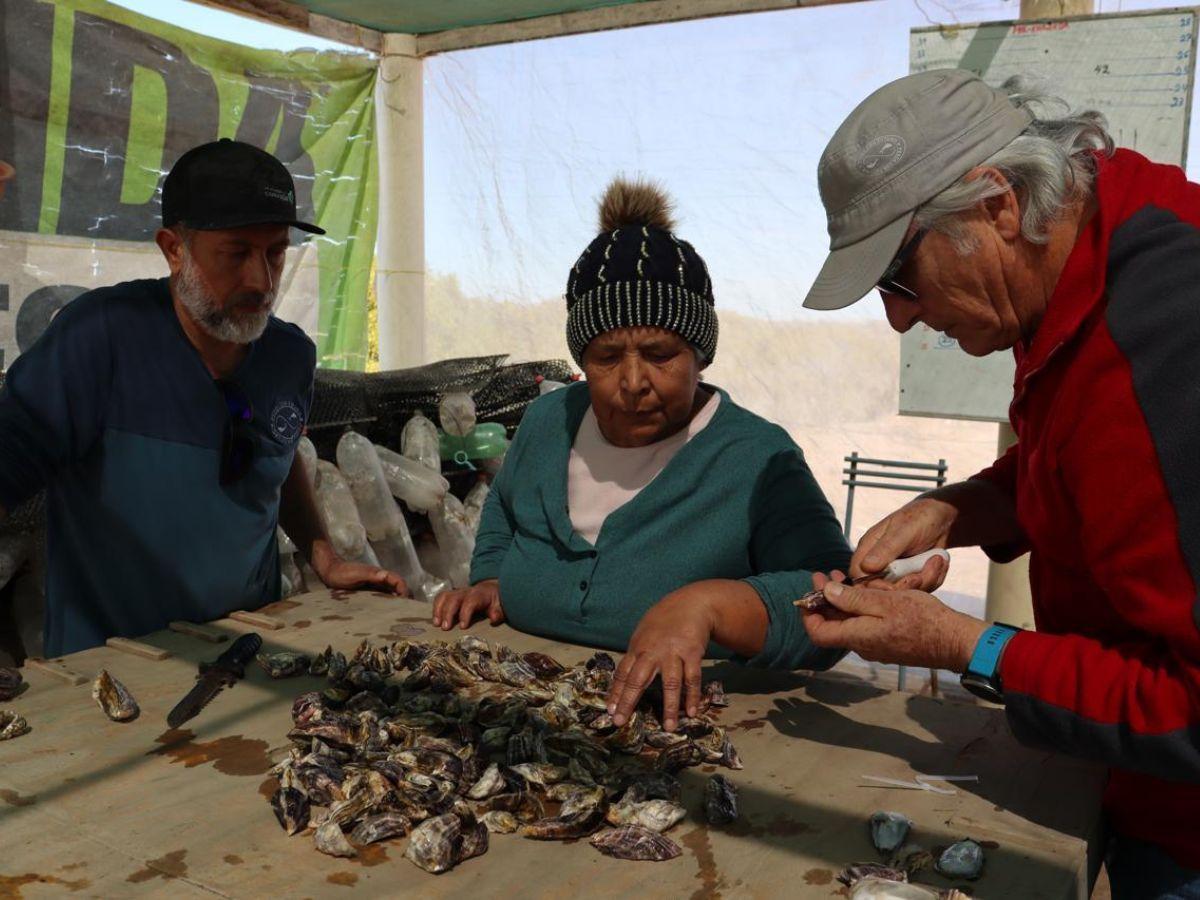 Untitled design (14) .jpg