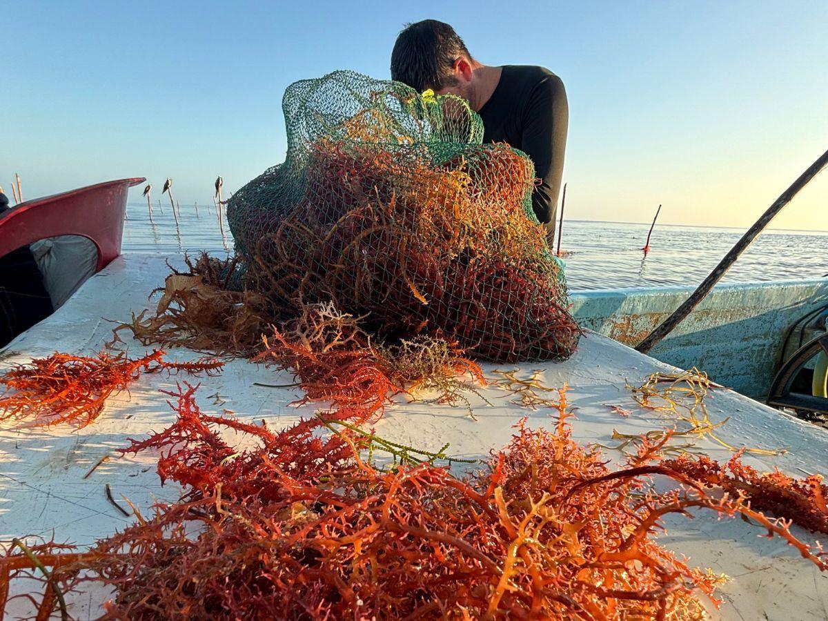 Untitled design (25).jpg