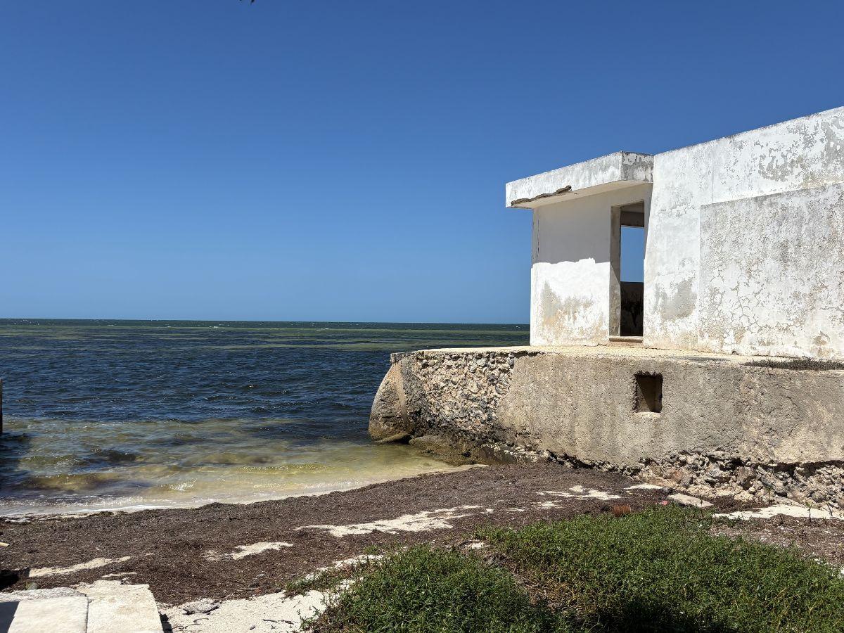 Untitled design (26).jpg