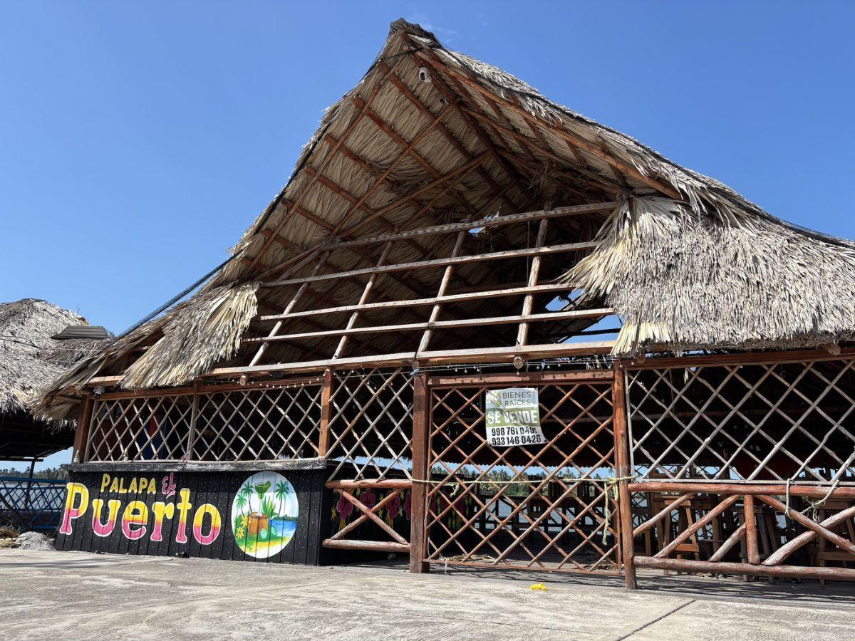 Untitled design (2).jpg