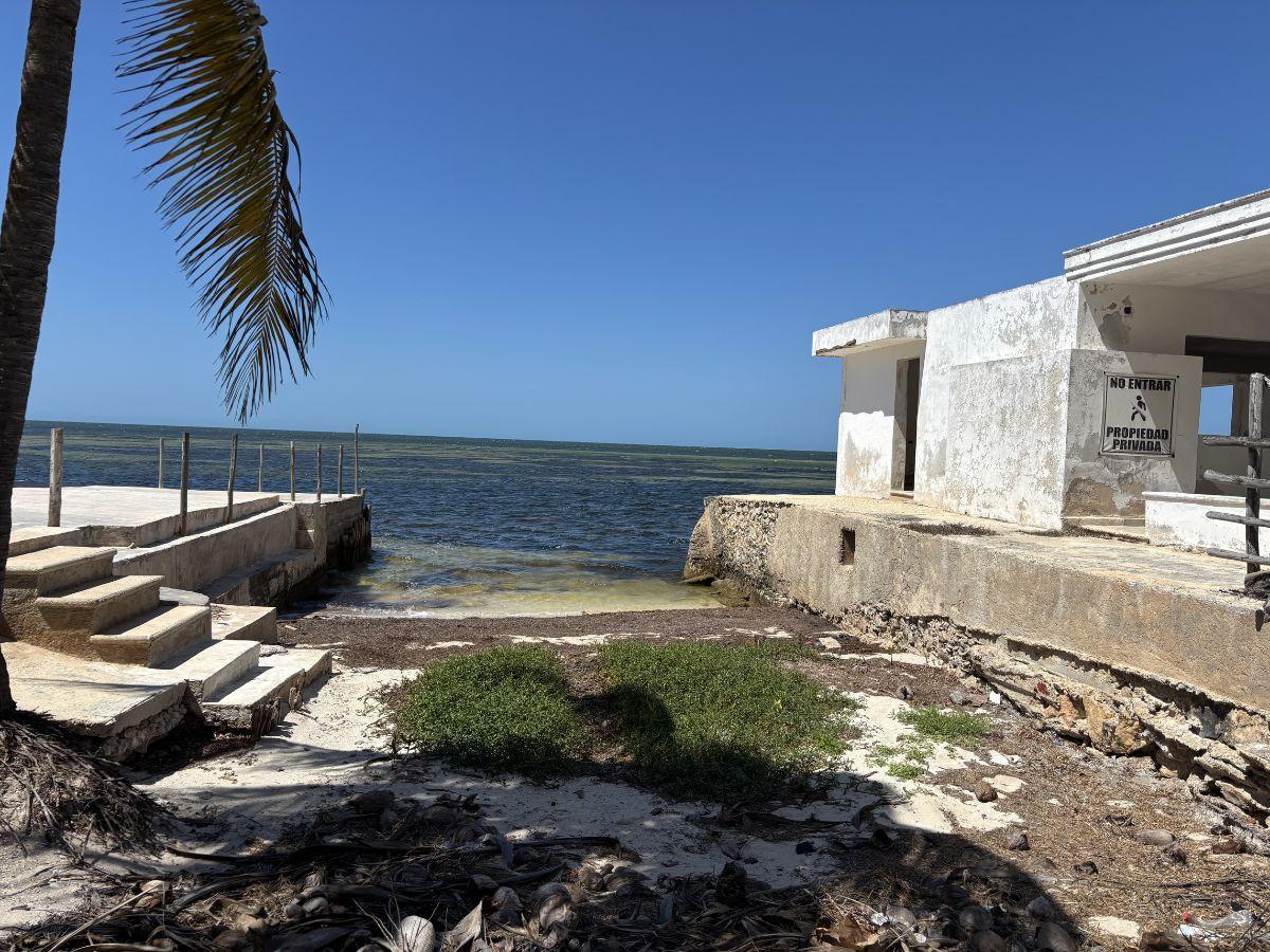 Untitled design (31).jpg