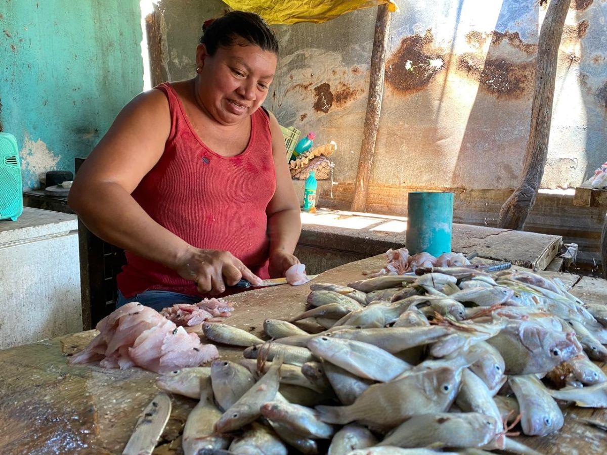 Untitled design (3) .jpg