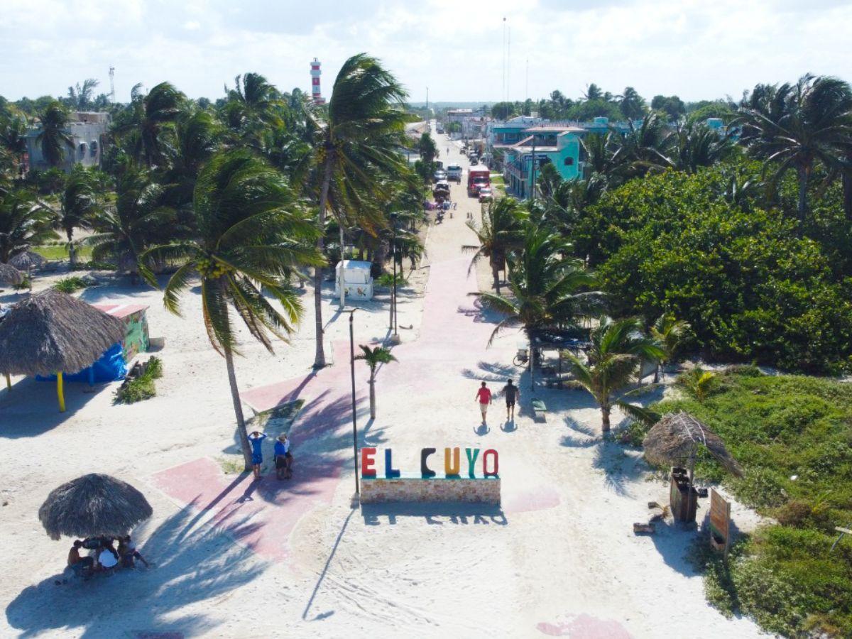 Untitled design (4) .jpg