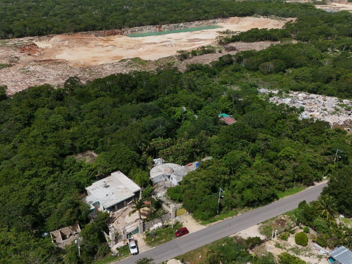 Untitled design (9).jpg