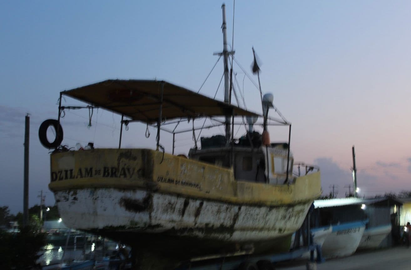 barco-dzilam-pepino-mar.jpg