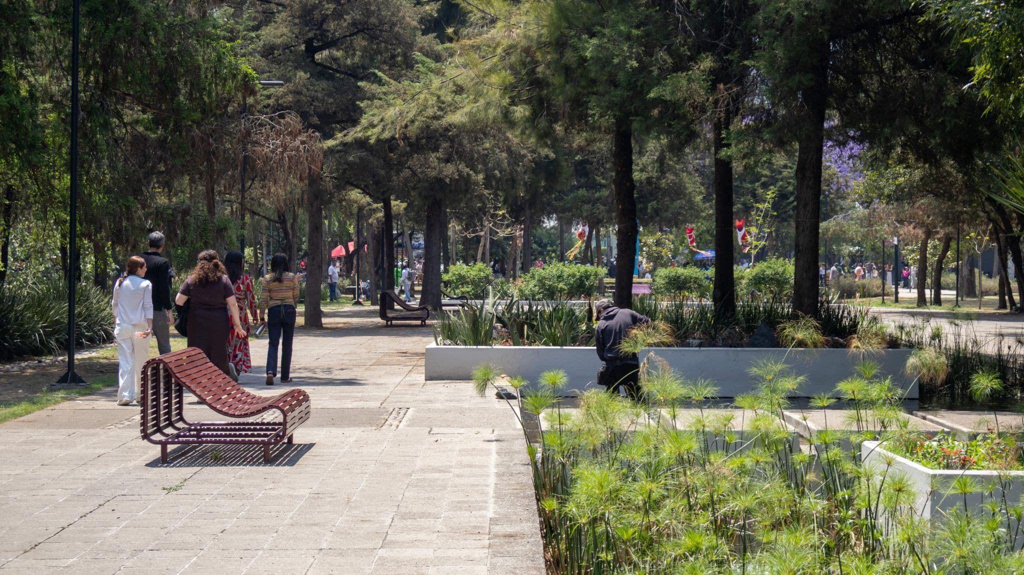bosque-chapultepec-2.jpg