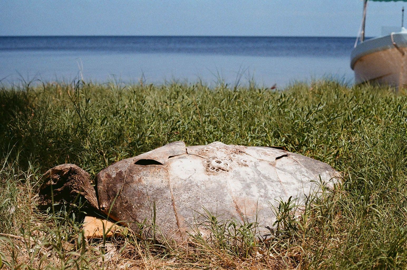 cadaver-tortura-dzilam-yucatan.jpg
