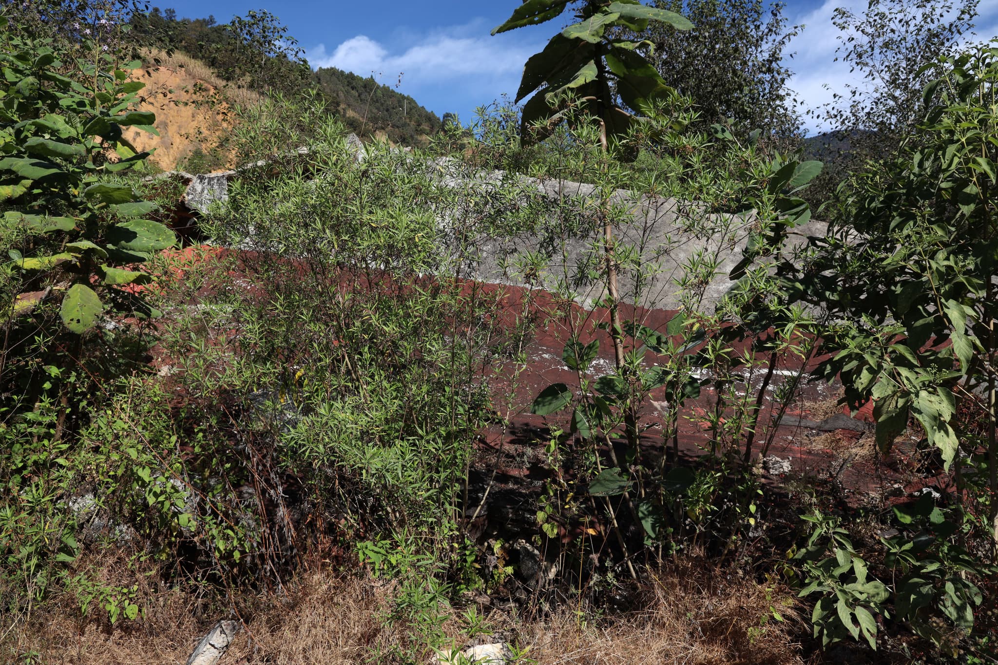 f623345896.jpg