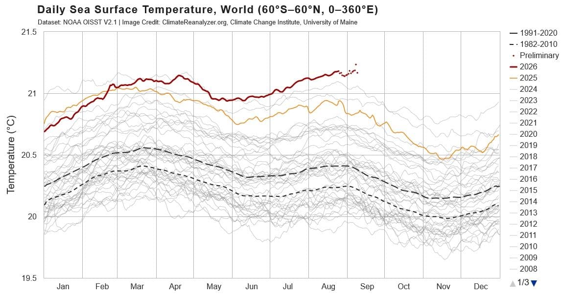 ola-calor-100-dias-oceano.jpg