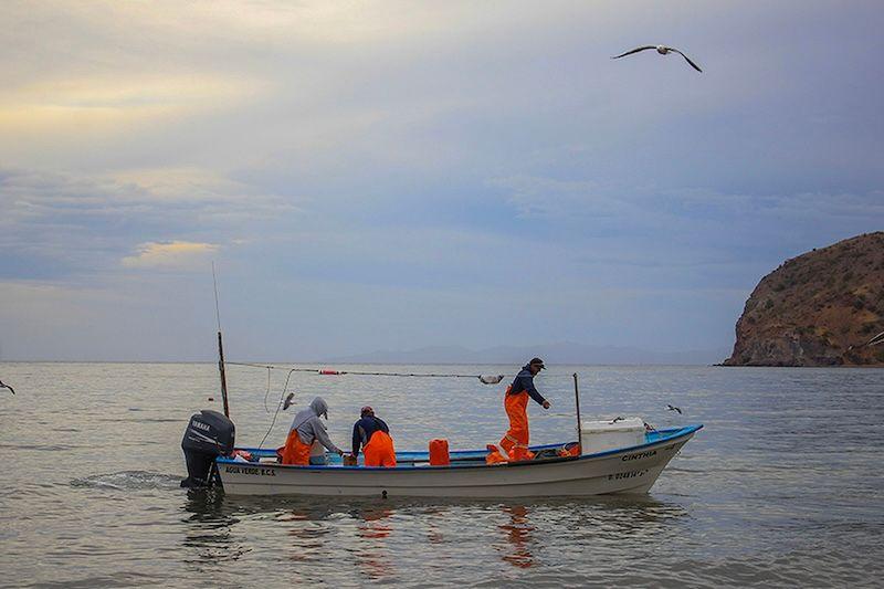 Fishermen Water Verde.jpeg