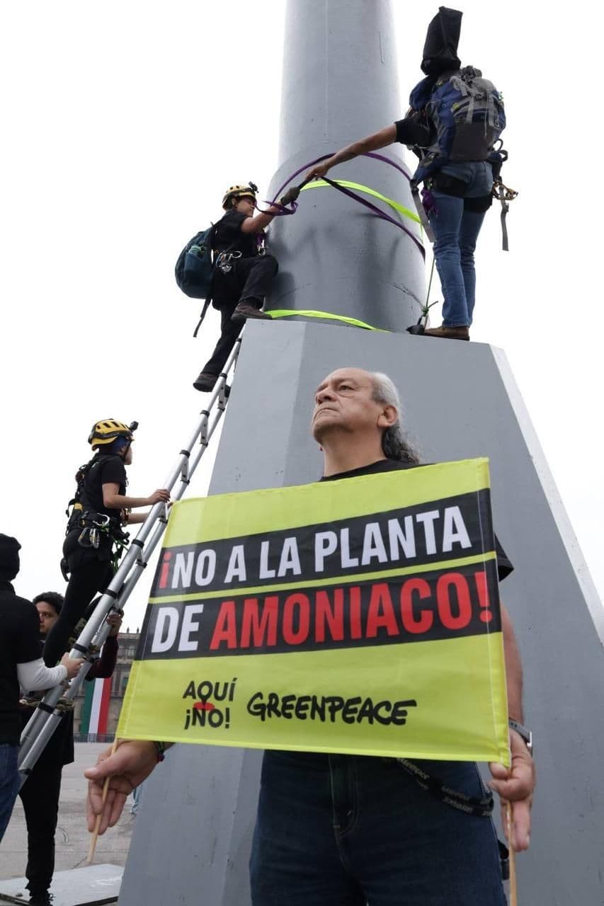 Fotografía: Greenpeace