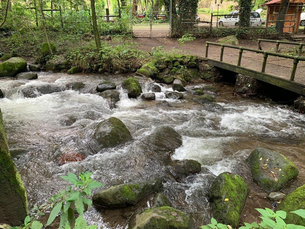 Rio Magdalena cdmx 2.jpg