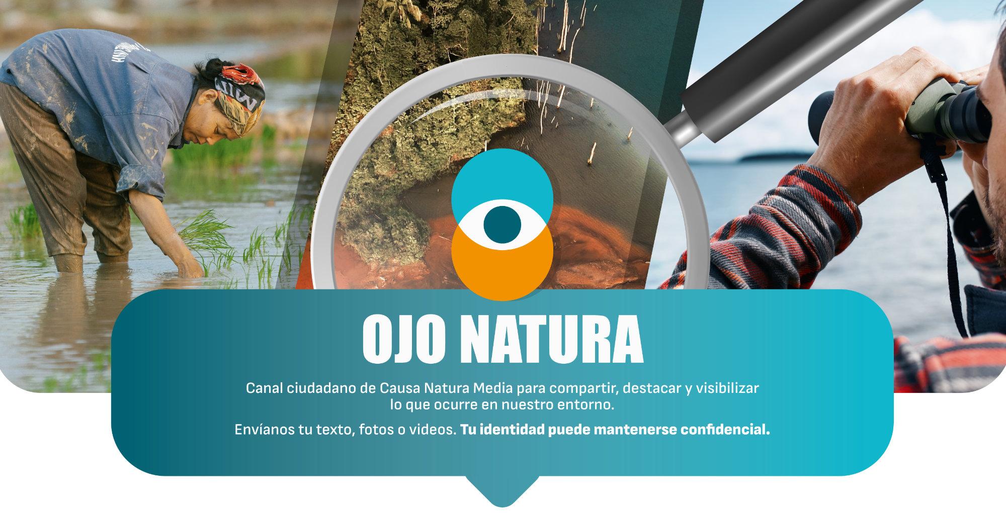 OJO NATURA
